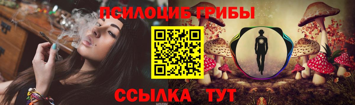 Аргун  Псилоцибиновые грибы Magic Shrooms  Вход с VPN 